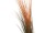 EUROPALMS Reed grass, light brown, artificial,  127cm