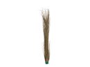 EUROPALMS Reed grass, khaki, artificial,  127cm