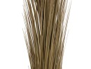 EUROPALMS Reed grass, khaki, artificial,  127cm