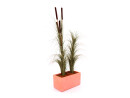 EUROPALMS Reed grass, khaki, artificial,  127cm
