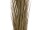 EUROPALMS Reed grass, khaki, artificial,  127cm