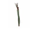 EUROPALMS Reed grass with cattails,dark-green,...