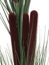 EUROPALMS Reed grass with cattails,dark-green,...