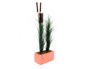 EUROPALMS Reed grass with cattails,dark-green, artificial, 152cm