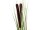 EUROPALMS Reed grass with cattails,light green, artificial, 152cm