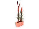 EUROPALMS Reed grass with cattails, light-brown, artificial, 152cm