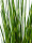 EUROPALMS Zebra grass, artificial, 90cm