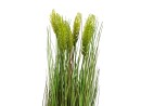 EUROPALMS Wheat early summer, artificial, 60cm