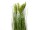 EUROPALMS Wheat early summer, artificial, 60cm
