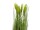 EUROPALMS Wheat early summer, artificial, 60cm