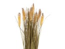 EUROPALMS Wheat bunch, artificial, 60cm