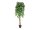 EUROPALMS Ficus-Benjamini Multi-Stamm, Kunstpflanze, 180cm