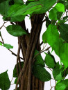 EUROPALMS Ficus-Benjamini Multi-Stamm, Kunstpflanze, 210cm