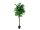 EUROPALMS Ficus-Benjamini Multi-Stamm, Kunstpflanze, 210cm