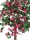 EUROPALMS Bougainvillea, Kunstpflanze, rosa, 150cm