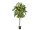 EUROPALMS Bougainvillea, artificial plant, yellow, 180cm