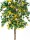 EUROPALMS Bougainvillea, artificial plant, yellow, 180cm