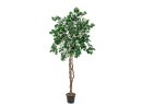 EUROPALMS Bougainvillea, Kunstpflanze, weiß, 180cm