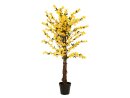 EUROPALMS Forsythienbaum mit 3 Stämmen,...