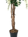 EUROPALMS Wisteria, artificial plant, white, 150cm