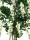 EUROPALMS Wisteria, artificial plant, white, 150cm