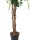 EUROPALMS Wisteria, artificial plant, white, 150cm