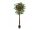 EUROPALMS Kamelienbaum rot mit Topf, Kunstpflanze, 180cm