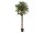 EUROPALMS Kamelienbaum rot mit Topf, Kunstpflanze, 180cm