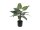EUROPALMS Caladium, Kunstpflanze, 38cm