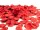 EUROPALMS Rose Petals, artificial, red, 500x