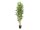 EUROPALMS Bamboo Deluxe, artificial plant, 150cm