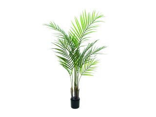 EUROPALMS Areca palm with big leaves, artificial plant, 125cm