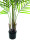 EUROPALMS Areca palm with big leaves, artificial plant, 125cm