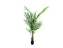 EUROPALMS Areca palm with big leaves, artificial plant,...