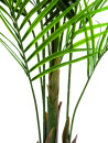 EUROPALMS Areca palm with big leaves, artificial plant, 165cm
