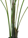 EUROPALMS Areca palm with big leaves, artificial plant, 185cm