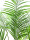 EUROPALMS Areca palm with big leaves, artificial plant, 185cm
