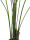 EUROPALMS Areca palm with big leaves, artificial plant, 185cm