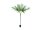 EUROPALMS Areca deluxe, Kunstpflanze, 180cm