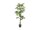 EUROPALMS Parlor Palm, artificial plant, 150cm