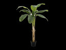 EUROPALMS Banana Tree, artificial plant, 145cm