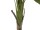 EUROPALMS Banana Tree, artificial plant, 145cm