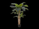 EUROPALMS Bananenbaum, Kunstpflanze, 170cm