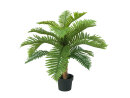 EUROPALMS Cycas Palme, Kunstpflanze, 70cm
