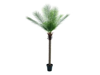 EUROPALMS Phönix Palme deluxe, Kunstpflanze  220cm