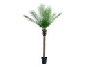 EUROPALMS Phönix Palme deluxe, Kunstpflanze  220cm