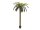 EUROPALMS Phönix Palme deluxe, Kunstpflanze, 250cm