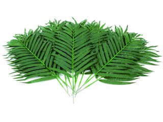 EUROPALMS Kokos-Palmwedel, künstlich, 80cm 12x
