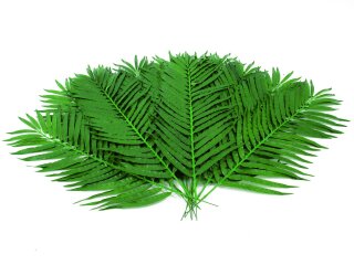 EUROPALMS Coconut palm branch, artificial, 90cm 12x