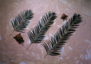 EUROPALMS Coconut palm branch, artificial, 90cm 12x